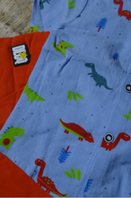 Blue Dinosaur shirt & short set